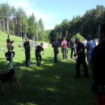 Veldencup 2013