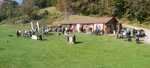 IMG-20231008-WA0011.jpg