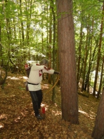 DSCN0779.JPG