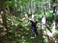 DSCN0782.JPG