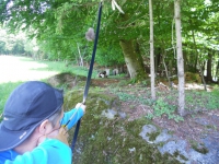 DSCN0801.JPG